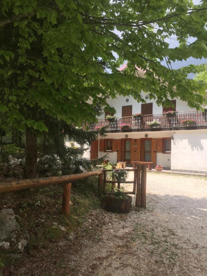 Residenze Ca Del Bosco Piancavallo Daire Dış mekan fotoğraf