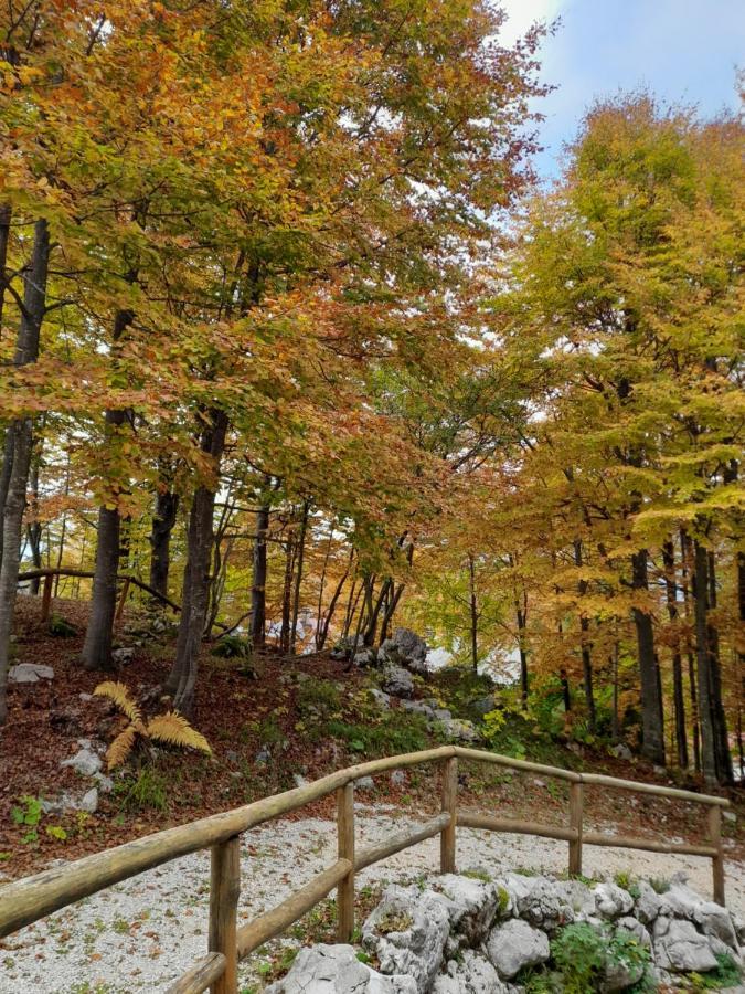 Residenze Ca Del Bosco Piancavallo Daire Dış mekan fotoğraf